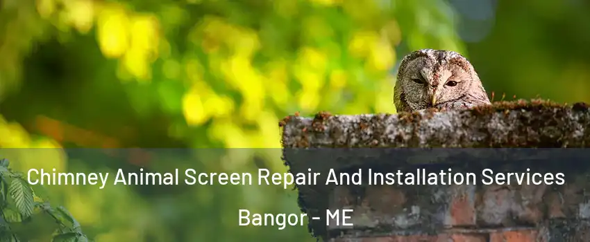  Chimney Animal Screen Repair And Installation Services Bangor - ME