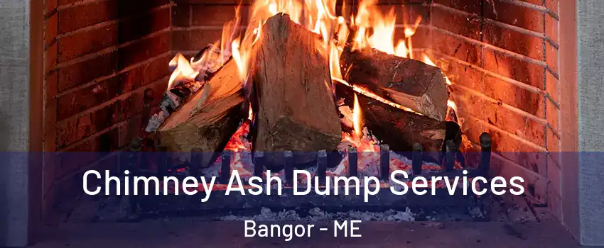  Chimney Ash Dump Services Bangor - ME