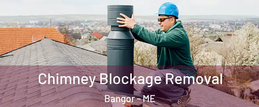  Chimney Blockage Removal Bangor - ME