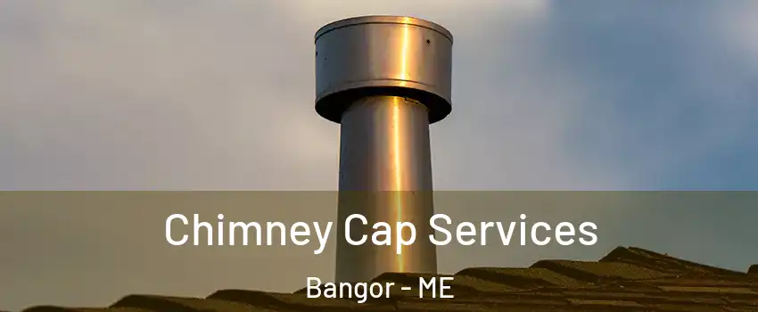 Chimney Cap Services Bangor - ME