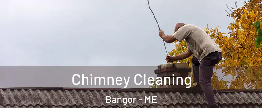 Chimney Cleaning Bangor - ME