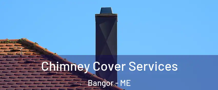  Chimney Cover Services Bangor - ME