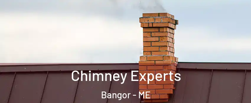  Chimney Experts Bangor - ME