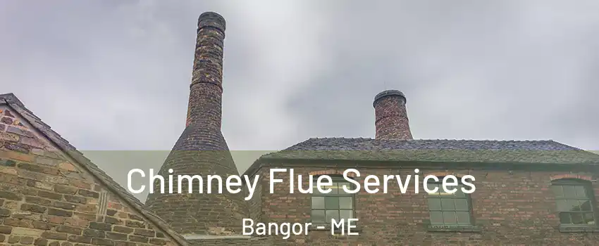  Chimney Flue Services Bangor - ME