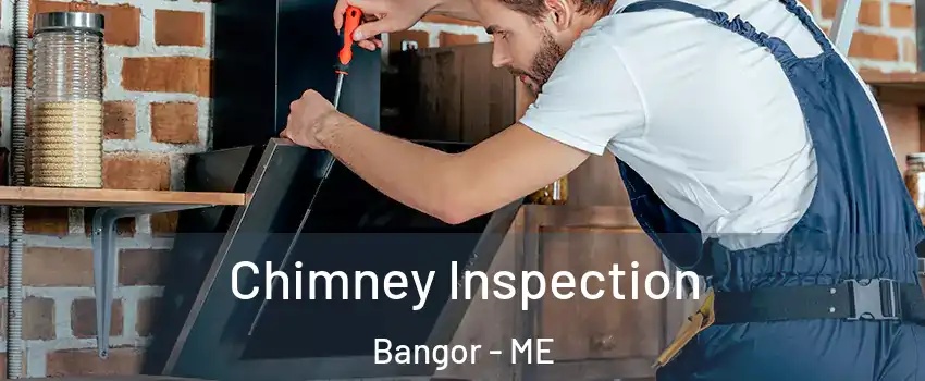  Chimney Inspection Bangor - ME