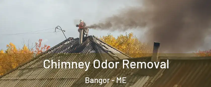  Chimney Odor Removal Bangor - ME