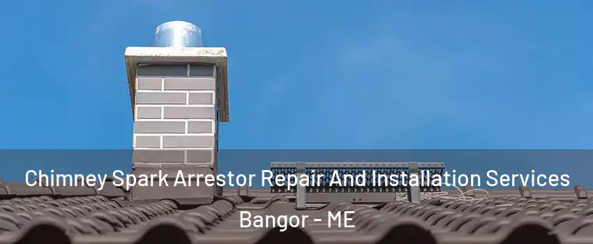  Chimney Spark Arrestor Repair And Installation Services Bangor - ME