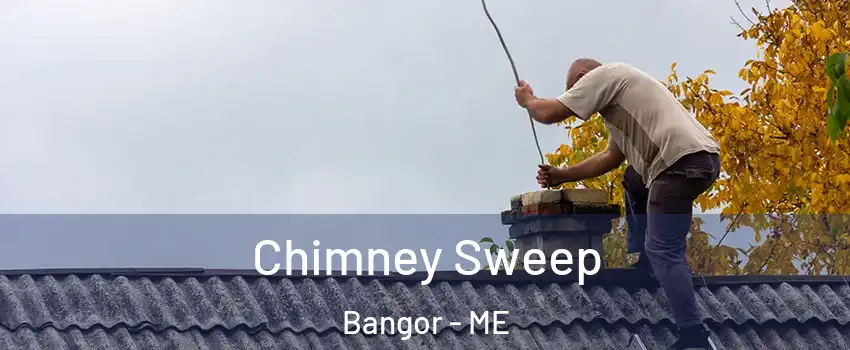  Chimney Sweep Bangor - ME