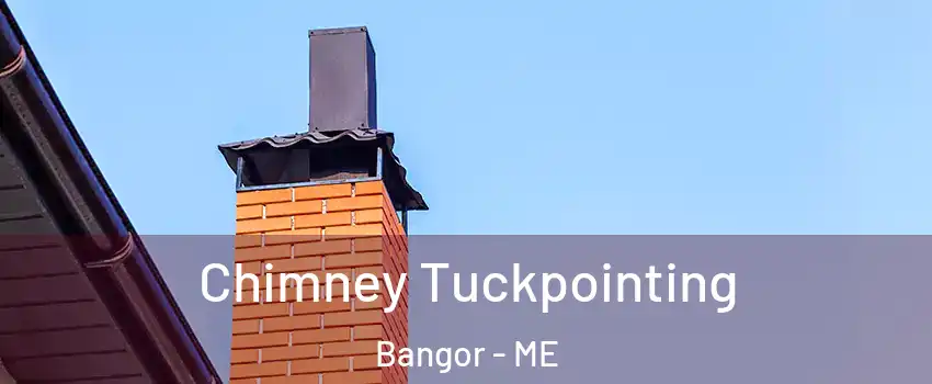  Chimney Tuckpointing Bangor - ME