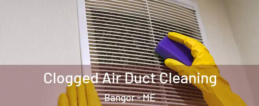  Clogged Air Duct Cleaning Bangor - ME