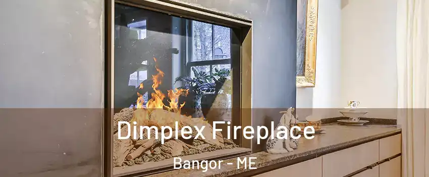  Dimplex Fireplace Bangor - ME