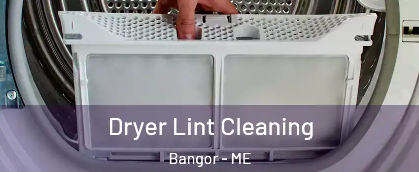  Dryer Lint Cleaning Bangor - ME