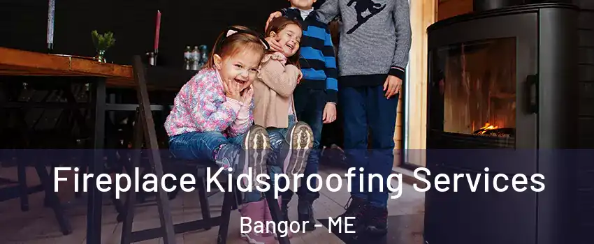  Fireplace Kidsproofing Services Bangor - ME