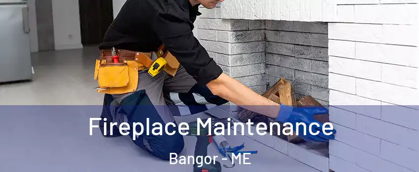  Fireplace Maintenance Bangor - ME