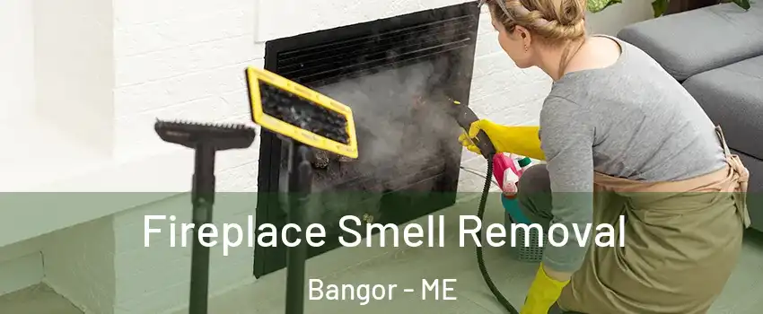  Fireplace Smell Removal Bangor - ME