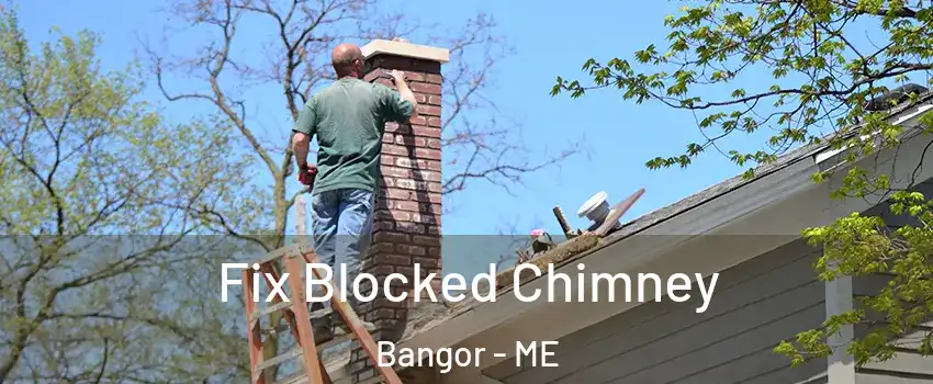  Fix Blocked Chimney Bangor - ME