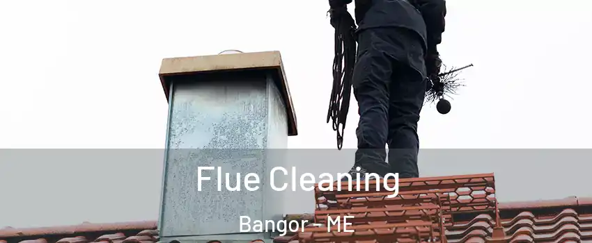  Flue Cleaning Bangor - ME