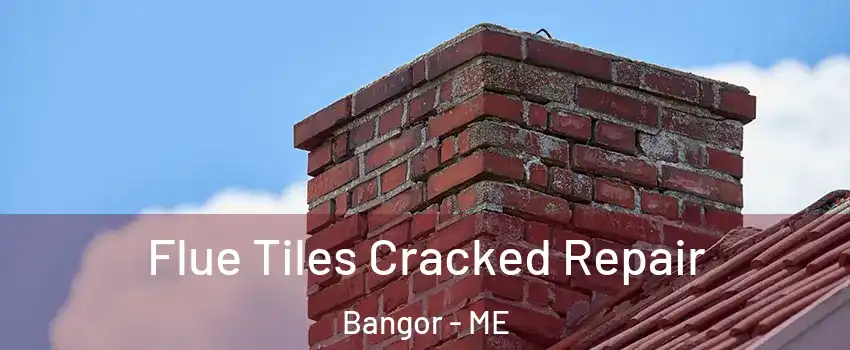  Flue Tiles Cracked Repair Bangor - ME