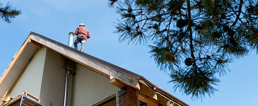 Birds Removal Contractors from Chimney in Bangor, ME