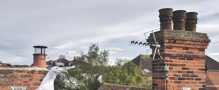 Chimney Cleaning And Restoration in Bangor, Maine