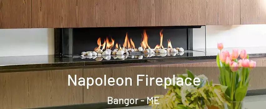  Napoleon Fireplace Bangor - ME